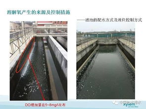 深床滤池在污水厂类四类水提标项目的应用