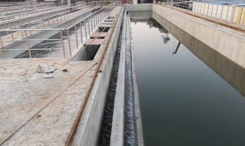 临高污水处理厂提标改造及扩建项目通水试运行