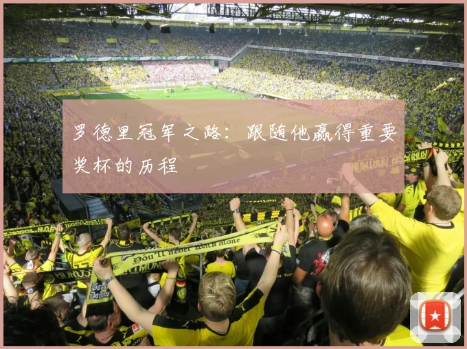 罗德里冠军之路：跟随他赢得重要奖杯的历程