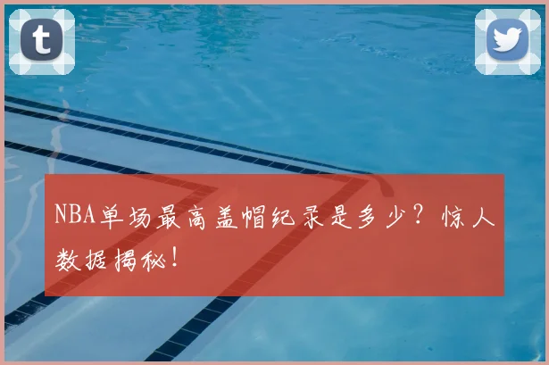 NBA单场最高盖帽纪录是多少？惊人数据揭秘！