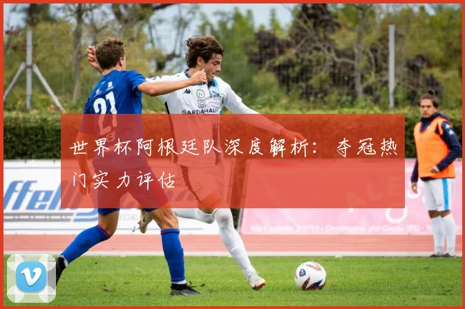 世界杯阿根廷队深度解析:夺冠热门实力评估