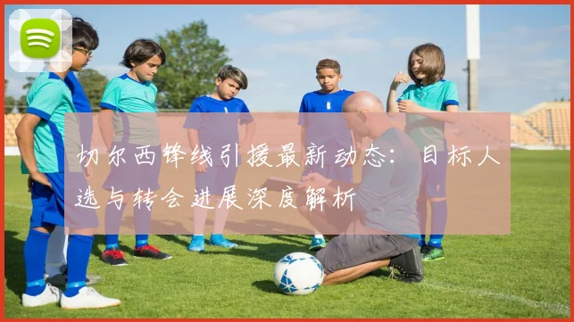 切尔西锋线引援最新动态:目标人选与转会进展深度解析